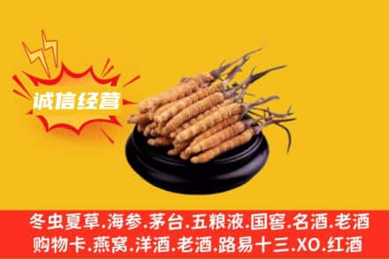 沧州市沧市回收冬虫夏草